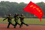 点击查看